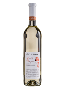 Víno z Kobylí Müller Thurgau Gallery