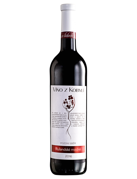 Rulandské modré pozdní sběr