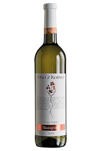 Víno z Kobylí Sauvignon pozdní sběr