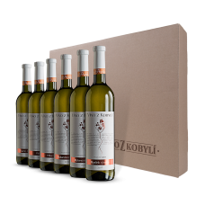Víno z Kobylí Dárková degustační sada vín I 