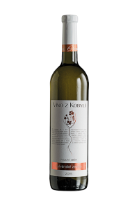 Víno z Kobylí Sylvánské zelené