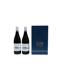 Víno z Kobylí Set 2 přívlastková vína IV